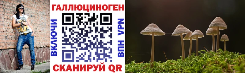 Псилоцибиновые грибы мицелий  наркошоп  Александров 