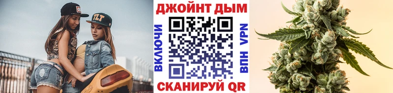 Бошки марихуана SATIVA & INDICA  гидра как войти  Александров  магазин  наркотиков 